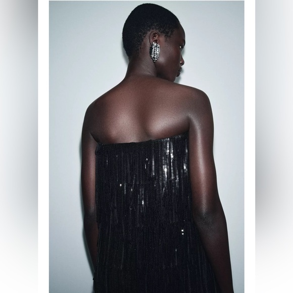 New ZARA LIMITED EDITION Sequin Fringe Midi Dress - Picture 4 of 9
